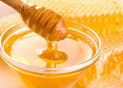 تولید 457 تن عسل درشهرستان ساری