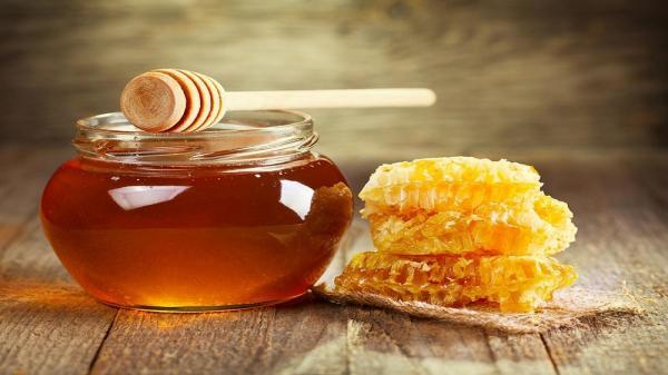 افزایش 80 درصدی فراوری عسل در گناباد